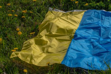 Ukrayna bayrağıyla karahindiba çayırı. Yaz festivali. Yumuşak seçici odak.