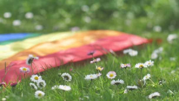 Blumen Gras Und Eine Schwulenfahne Bewegen Sich Wind Sommerblumen Weißer — Stockvideo