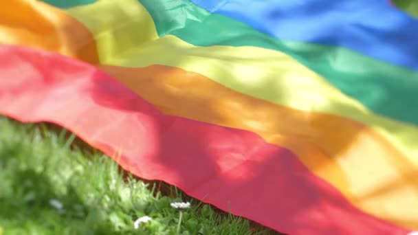 Flores Hierba Una Bandera Gay Mueven Viento Flores Verano Color — Vídeos de Stock