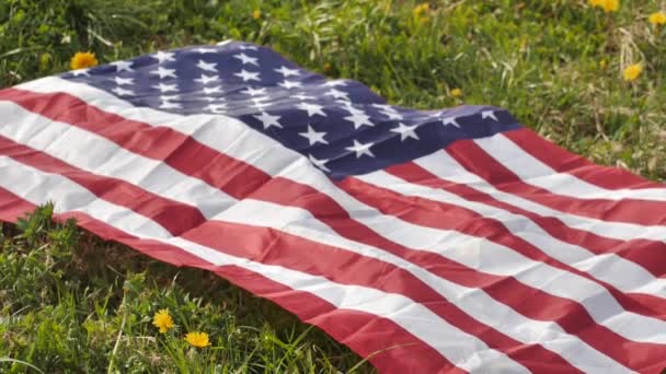 Flaga Stanów Zjednoczonych Ameryki Najpiękniejszych Żółtych Dmuchawcach Letni Festiwal — Wideo stockowe