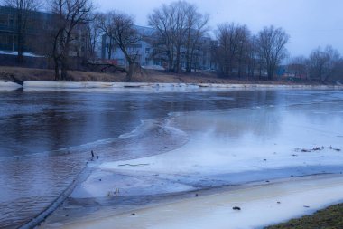 Gauja için buz nehrin kenarında donmuştu. Kış ayının sonu. Seçici odak yumuşak odak.