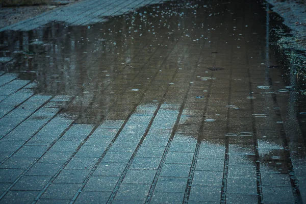 雨が歩道に降る 歩道に水溜りがある 水が噴き出す ぬれた石畳の道 水が落ちる フィールドの浅い深さ ソフト選択的フォーカス — ストック写真