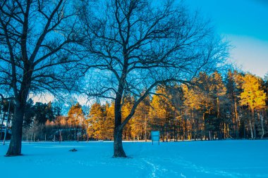 Gauja, kışın kar ve buzla kaplı yüzme yeri. Gün batımı.