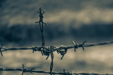 Metal çit, eyalet sınırı, çitler için metal koruma..