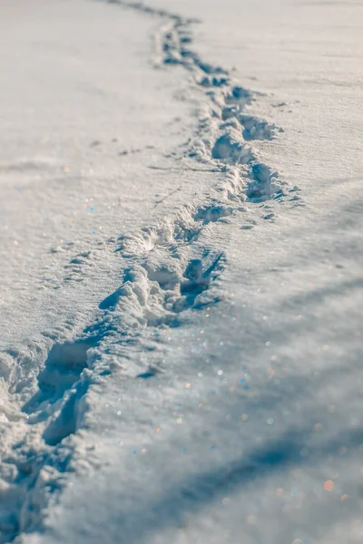Winter Mit Weißem Schnee Und Eine Spur Mit Menschlichen Fußspuren — Stockfoto