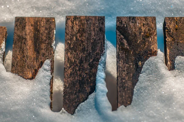 Winter Mit Weißem Schnee Wald Und Baumstämme Mit Schnee Wald — Stockfoto