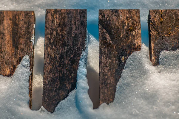 Winter Mit Weißem Schnee Wald Und Baumstämme Mit Schnee Wald — Stockfoto