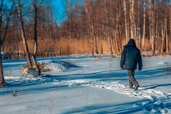 Person Walks Nature Park Winter Time — Stock Photo, Image