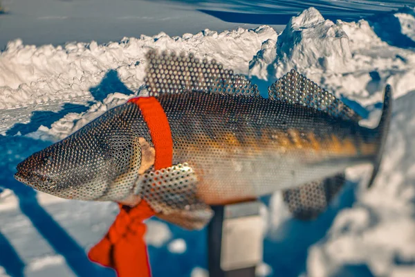 Знак Напрямку Озера Форма Металевої Риби Зимовий Час Озеро Снігом — стокове фото