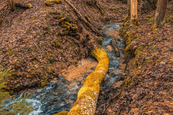 Kamienny Wodospad Dolomitowy Silnym Strumieniem Wody Płynącej Dół Pobliżu Jest — Zdjęcie stockowe