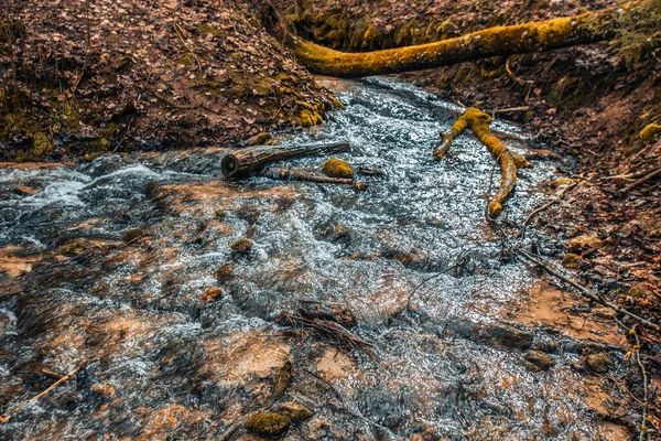 Каменный Водопад Сильным Ручьем Воды Стекающим Вниз Рядом Лес Падающие — стоковое фото