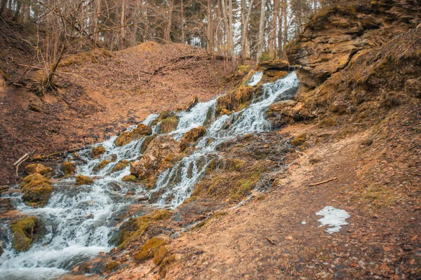 水の強い流れが流れる石のドロマイトの滝 近くに森がある — ストック写真