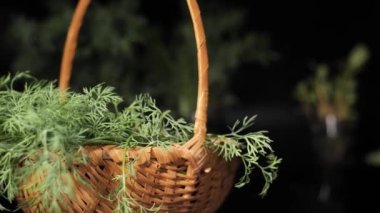Masada, hasır bir sepetin içinde, dereotu bir tencerede dönüyor..