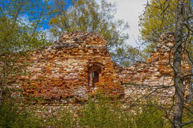 Tuğladan yapılmış eski kale duvarı. Havva çalılarının çiçek açtığı zaman. Bahar. Yumuşak seçici odak.