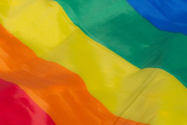 Eşcinsel çift gökkuşağı bayrağı. Yeşil çimenli karahindiba çayırı. Parkta doğaya yakın bir rahatlama. Yumuşak seçici odak.