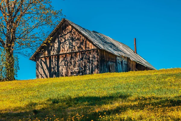 A country house on a hill in a field of summer dandelions. Uninhabited abandoned.