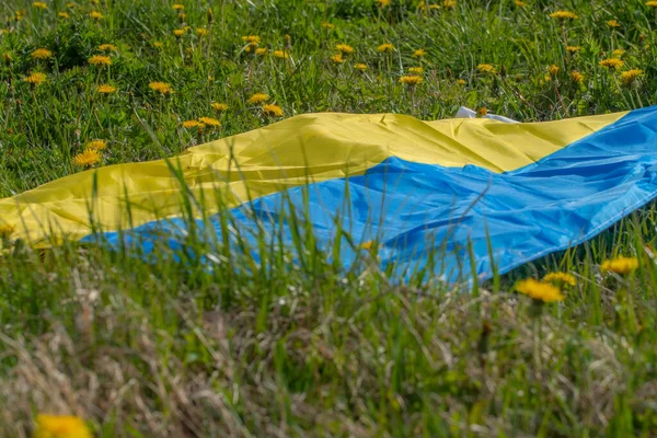 Ukrayna bayrağıyla karahindiba çayırı. Yaz festivali. Yumuşak seçici odak.