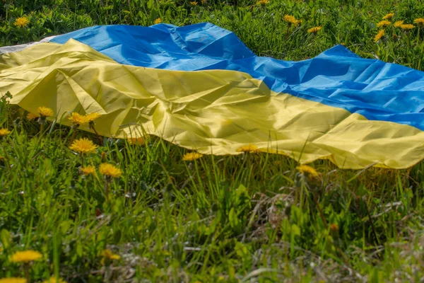 Ukrayna bayrağıyla karahindiba çayırı. Yaz festivali. Yumuşak seçici odak.