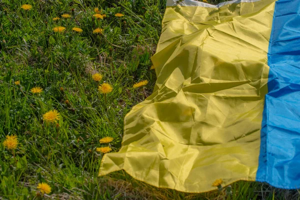 stock image Dandelion meadow with Ukrainian flag. Summer festival. Soft selective focus.