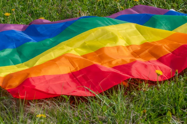 Gay couple rainbow flag. Dandelion meadow with green grass. Relaxation near nature in the park. Soft selective focus.