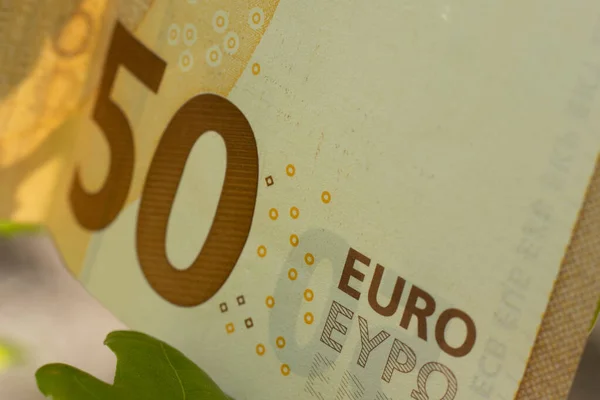 Euro Bylo Nalezeno Dubu Parku — Stock fotografie