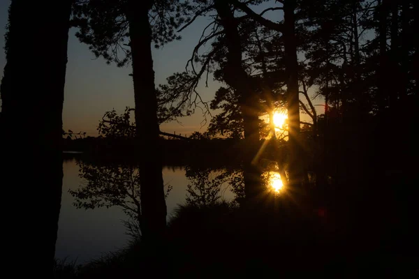 stock image The sunset sun reflects in the water of the lake. Two suns in the lake, golden roses. Evening.