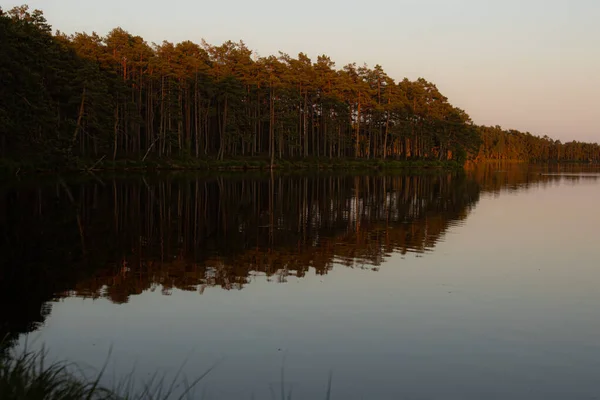 Vista Lago Com Reflexo Sol Nas Árvores Costa Árvores São Fotos De Bancos De Imagens Sem Royalties