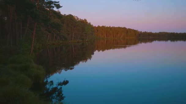 Vedere Naturală Lacului Copaci Reflectați Apă Peisaj Clipuri — Videoclip de stoc