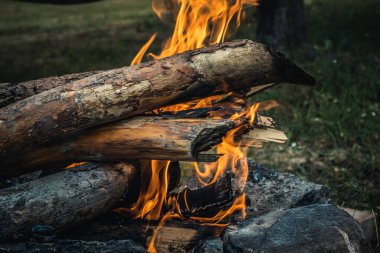 Yaz aylarında, kuru odunlu bir şenlik ateşi. Kuraklıkta tehlikelidir. Dikkatli ol..