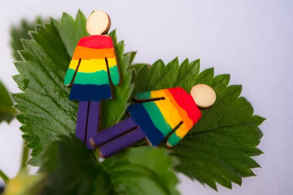 Siluetas Árbol Con Colores Bandera Gay Hojas Fresa —  Fotos de Stock