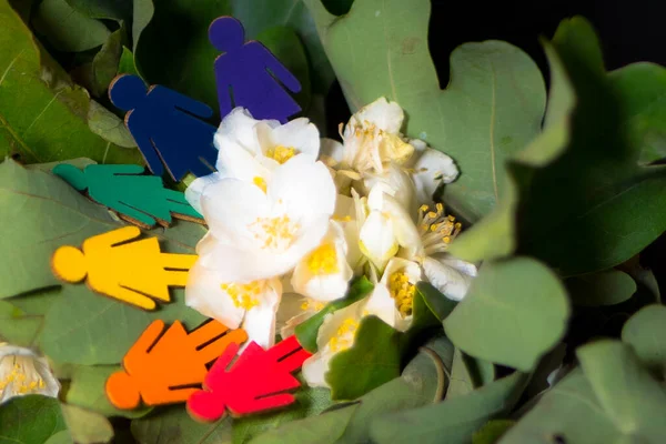 Gey Bayrağı Renginde Ağaç Siluetleri Meşe Yaprakları Beyaz Yasemin Çiçekleri — Stok fotoğraf