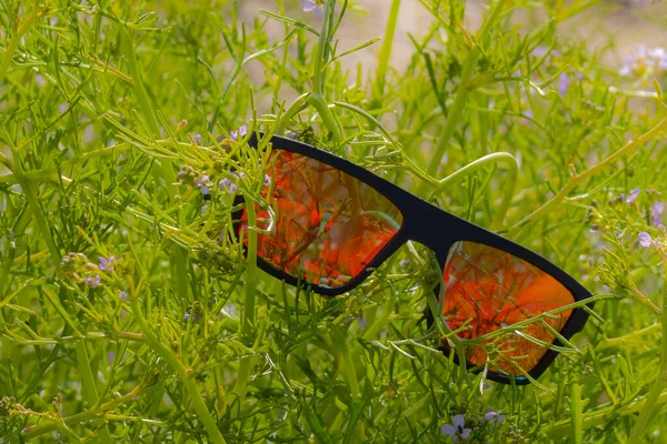 Óculos Sol Com Verduras Beira Mar Foco Suave Seletivo — Fotografia de Stock