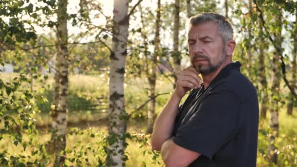 Bir Adam Huş Ağacının Yanında Durur Güneşe Bakar Başını Çevirir — Stok video