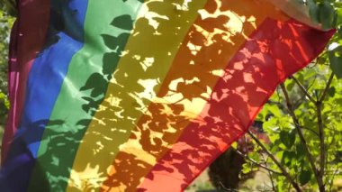 LGBT bayrağı, güneş ışığının parladığı bir bahçeye konur. Bayrağın üzerinde ağaç yapraklarının gölgeleri görülür. Neşeli bir gökkuşağı bayrağı ağaçta rüzgarda dalgalanıyor. Kutlamalar..