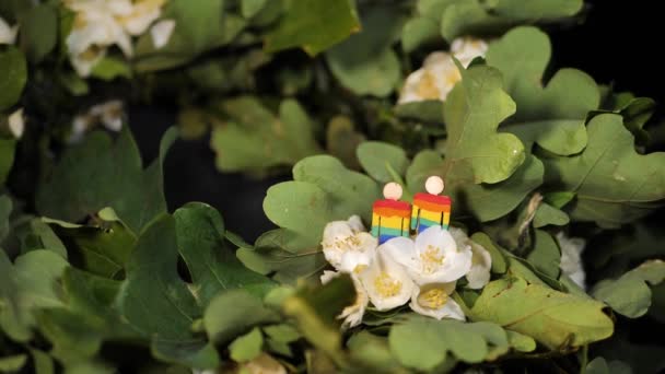 Festive Wreath Jasmine Oak Tree People Silhouette Rainbow Colors Festive — Stock Video