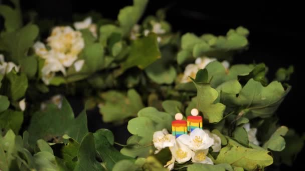 茉莉花 橡木和树的花环 用彩虹色勾勒人们的轮廓 在喜庆的夜晚 桌上挂着一个花圈 花圈上挂着红旗似的人物形象 — 图库视频影像