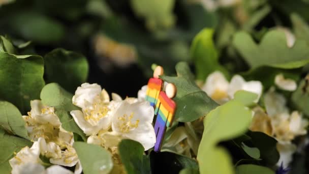 茉莉花 橡木和树的花环 用彩虹色勾勒人们的轮廓 在喜庆的夜晚 桌上挂着一个花圈 花圈上挂着红旗似的人物形象 — 图库视频影像