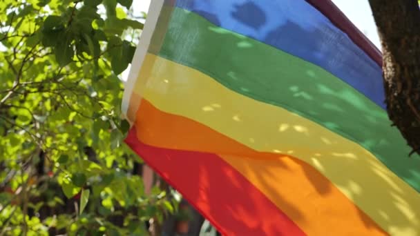 庭にはLgbtの旗が置かれ 太陽の光が差し込み 旗の上には木の葉の影が見える 木の風にゲイのプライド虹の旗がなびく お祝い — ストック動画