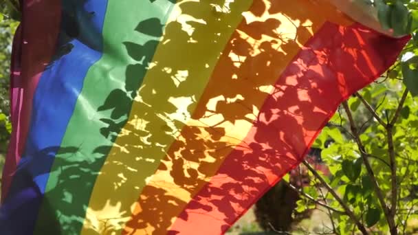 Lgbt旗被放置在花园中 阳光透过花园照射 在旗帜上可以看到树叶的影子 欢乐骄傲的彩虹旗在树上迎风飘扬 庆祝活动 — 图库视频影像
