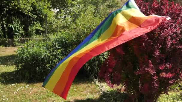 Garden Lgbt Flag Placed Terrace Summer Foliage Gay Pride Rainbow — Stock Video