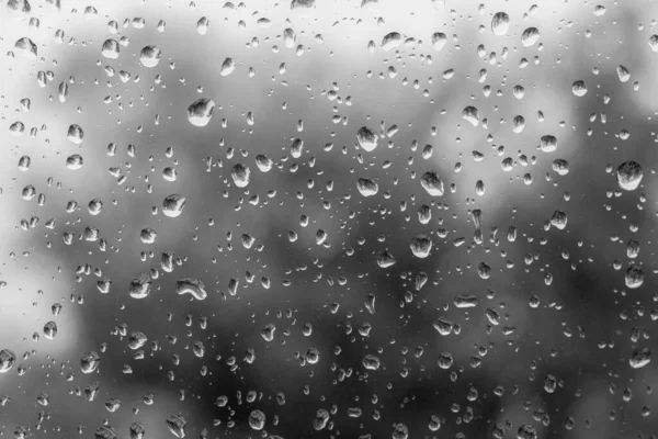 창문에 빗방울 비오는 부드러운 선택적 — 스톡 사진