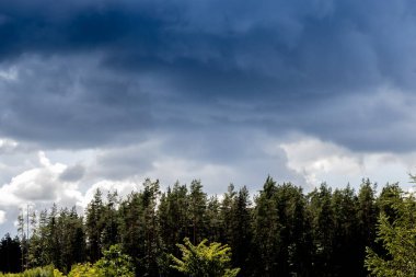 Yağmurlu bulutlar yağmura kadar karardı. Rüzgarda görünen ağaçlar. Yumuşak seçici odak.