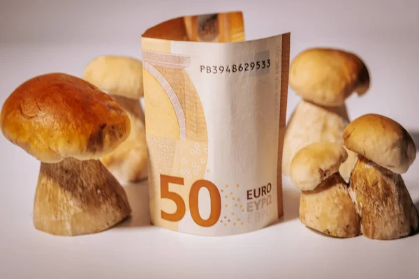 Yaban mantarları, mantarlar ve beyaz arka planda 50 avroluk banknotla kahverengi başlıklı mantarlar. Mantarlar pahalıdır, ormanda az sayıda yetişir..