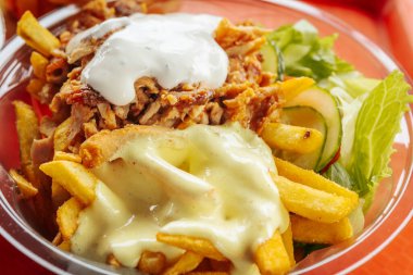 Doğa parkındaki tek kullanımlık kaselerde kızarmış et ve salata. Yumuşak seçici odak.