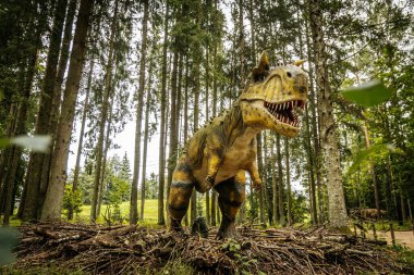Hayvanlar, dinozorlar, doğal dinozor parkı 