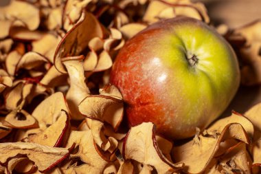 Meyve kurutma makinesinde kurutulmuş elma dilimleri tüm vitaminleri tutar. Taze elma. Yumuşak seçici odak.