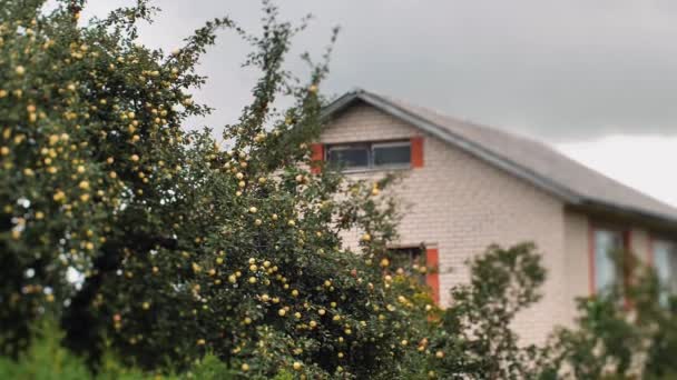私人住宅的苹果树 树上有苹果在风中飘扬 房子上方有灰色的云彩 有选择性的软重点 视频剪辑 — 图库视频影像