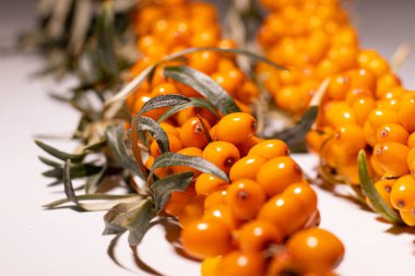 Parlak ve taze böğürtlenler - deniz dikenleri. Lezzetli ve sağlıklı meyveler organik diyet meyveleri besler. Sağlıklı beslenme ve refah için parlak renklerle sulu meyveler. Beyaz arkaplan.