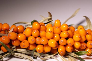 Parlak ve taze böğürtlenler - deniz dikenleri. Lezzetli ve sağlıklı meyveler organik diyet meyveleri besler. Sağlıklı beslenme ve refah için parlak renklerle sulu meyveler. Beyaz arkaplan.