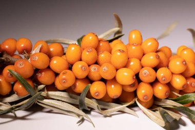 Parlak ve taze böğürtlenler - deniz dikenleri. Lezzetli ve sağlıklı meyveler organik diyet meyveleri besler. Sağlıklı beslenme ve refah için parlak renklerle sulu meyveler. Beyaz arkaplan.